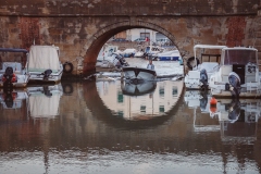 © Andrea Dani